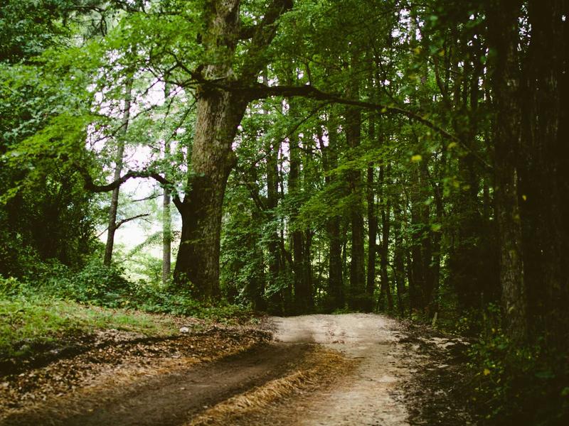 sudoku number game screenshot 2